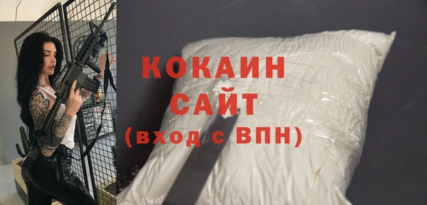гидра Кукмор