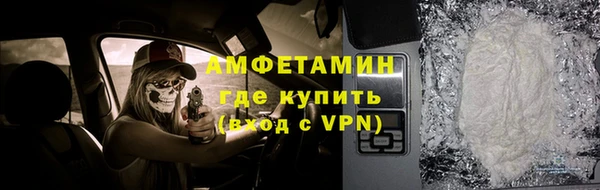 прущие грибы Кулебаки