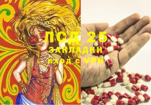 прущие грибы Кулебаки