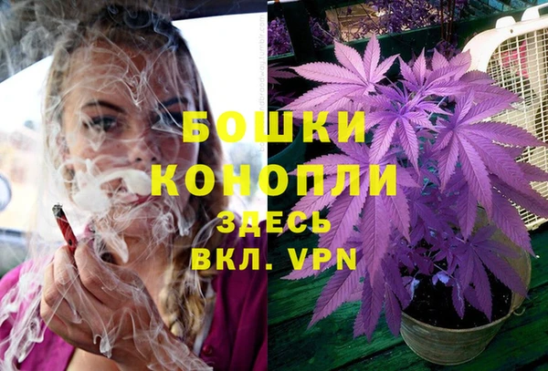 spice Куйбышев