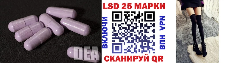 LSD-25 экстази ecstasy  Купить где  Петрозаводск 