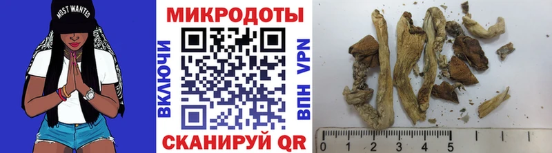 Галлюциногенные грибы мицелий  Купить  Петрозаводск 