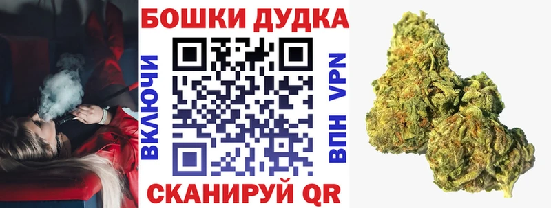 Купить закладки  Петрозаводск  Бошки марихуана планчик 